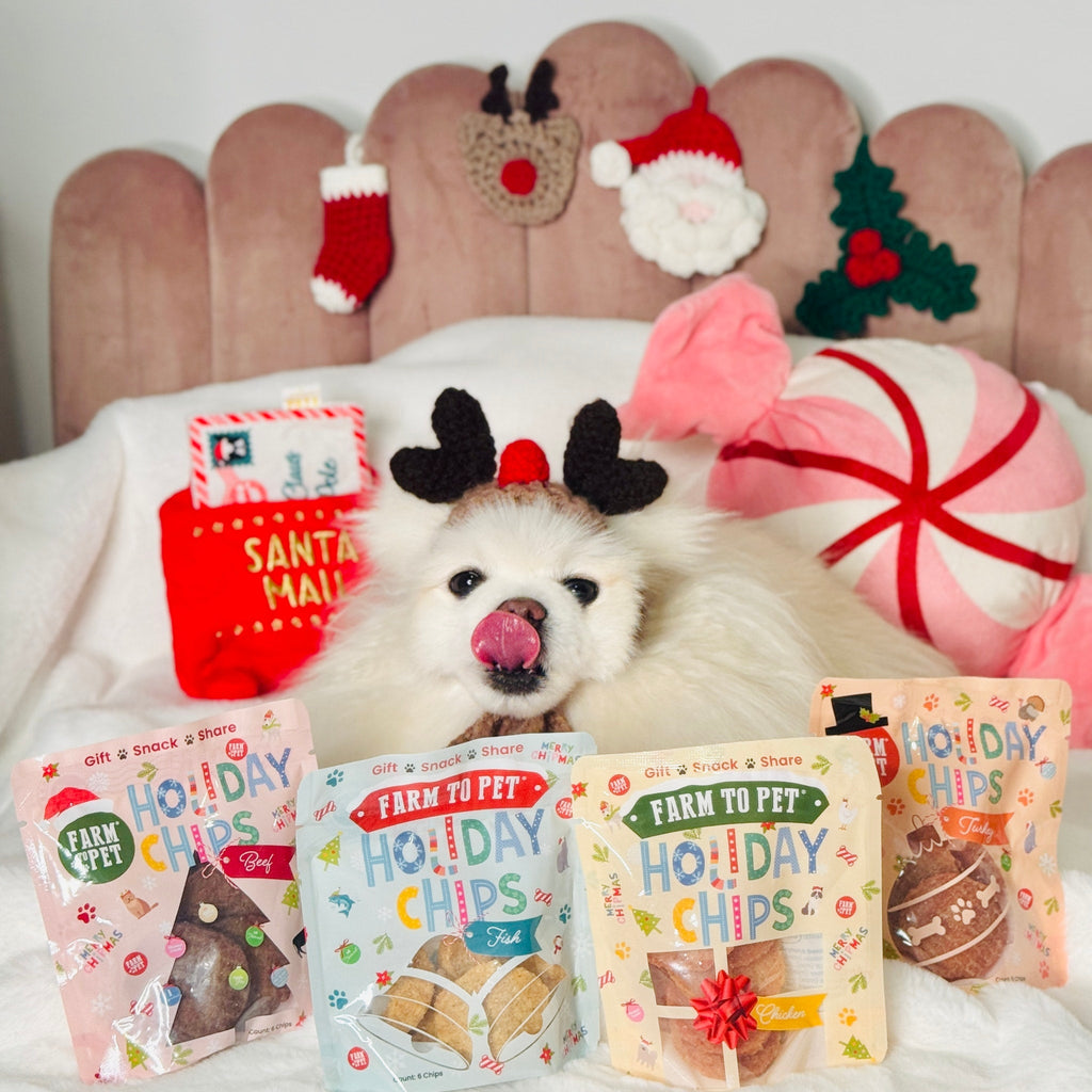 Seasons Treatings Dog Treats & Accessory Box